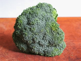 broccoli