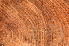 oakslice_2