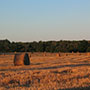 step_past_hay_bales_icon_90x90